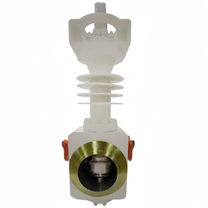 Năm vân đai con dấu lốc lập dị